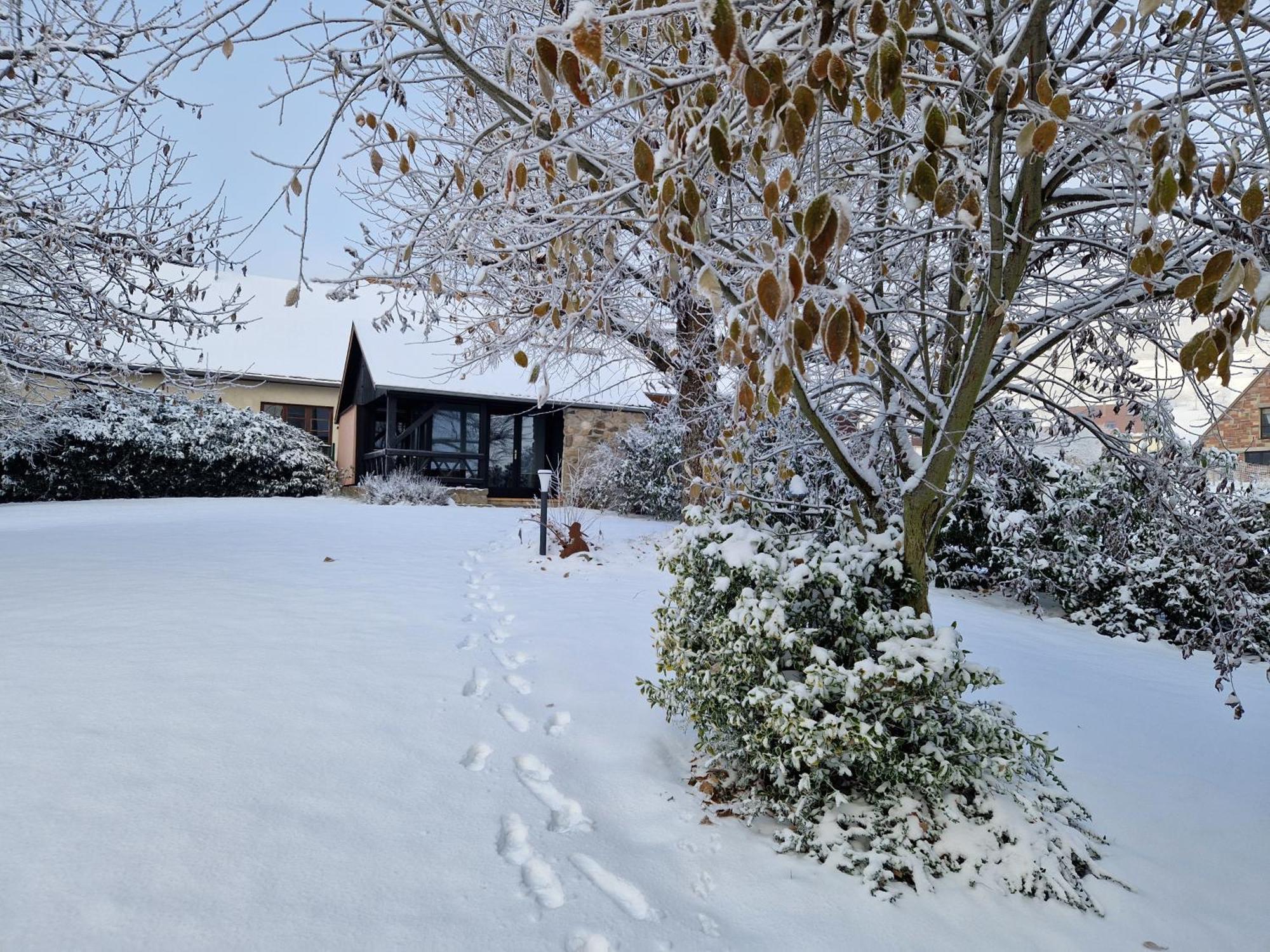 Le Breit Maison De Charme Avec Sa Dependance Breitenbach ภายนอก รูปภาพ