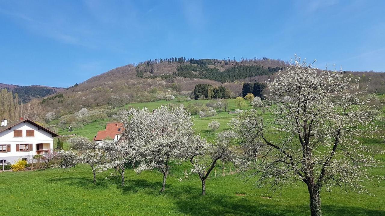 Le Breit Maison De Charme Avec Sa Dependance Breitenbach ภายนอก รูปภาพ